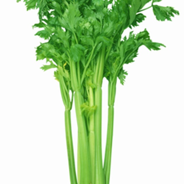 Celery Seed