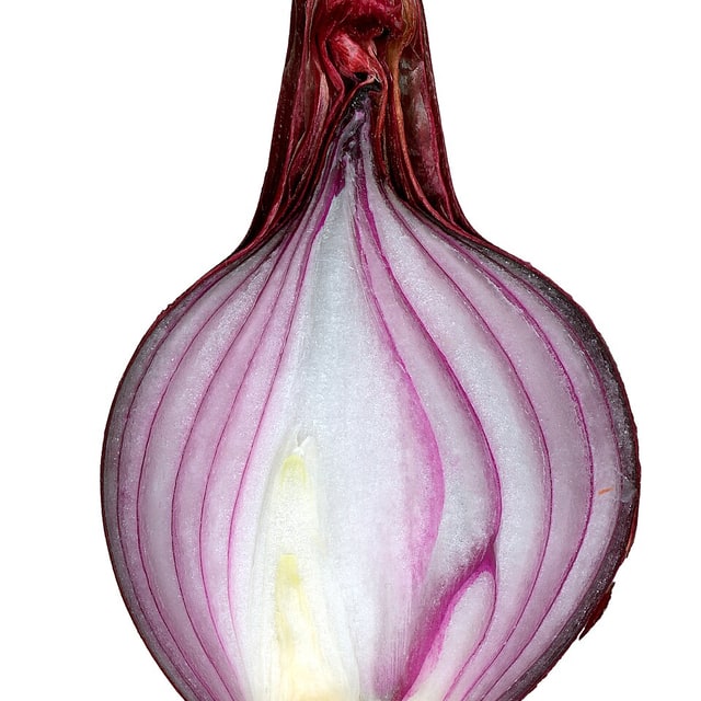 Hybrid Onion Seed