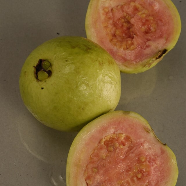 Guava Seed