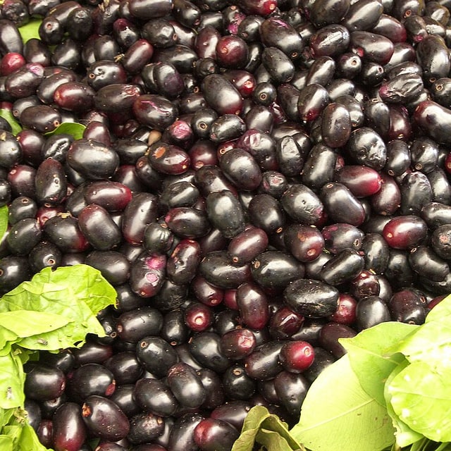 Jamun Seed