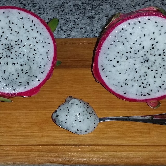 Dragon Fruit Seed