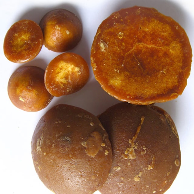 Coconut Seed Nut for planting