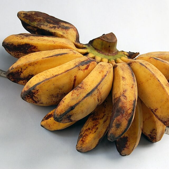 Banana Seed/Planting Material