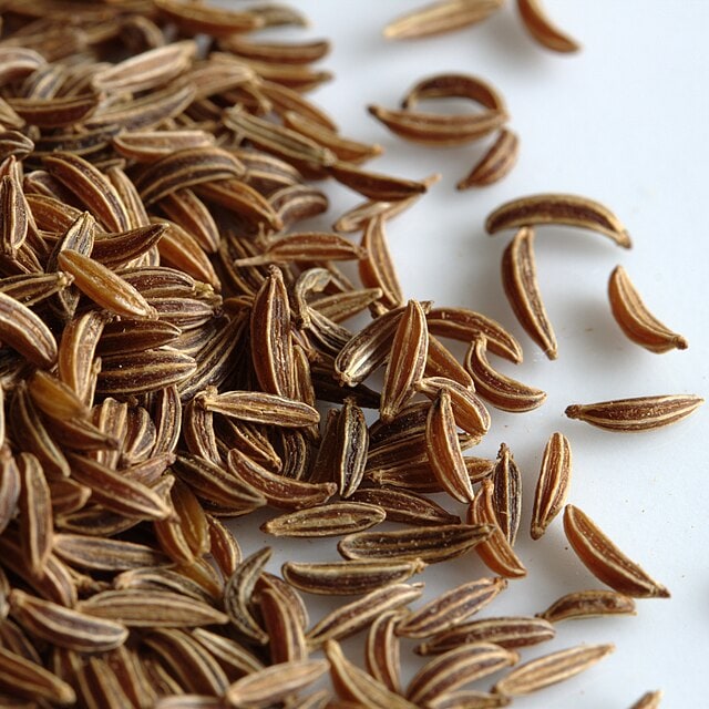 Caraway Seed for sowing