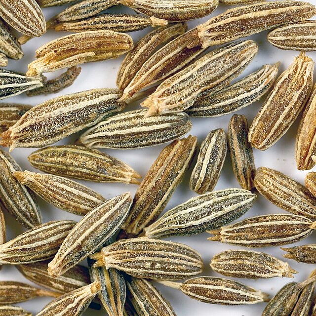 Black Cumin/Kalonji Seed for sowing