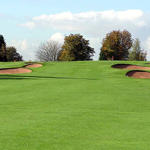 Turf Grass Seed
