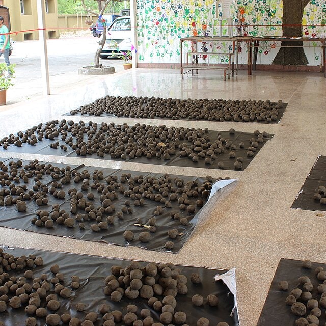 Seed Balls for planting